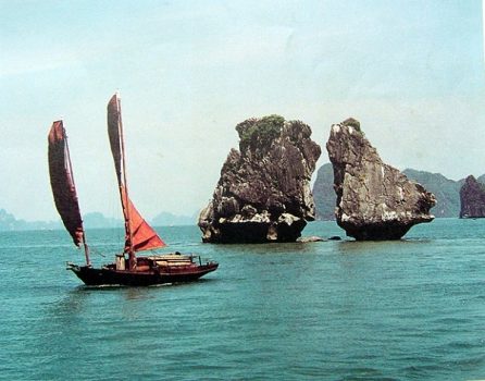 Trong mai Islet
