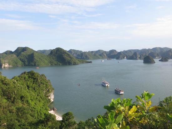 The V'spirit cruise should be your choice to cruise in Halong Bay