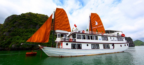 Phoenix Cruise Halong Bay – Halong Bay Travel