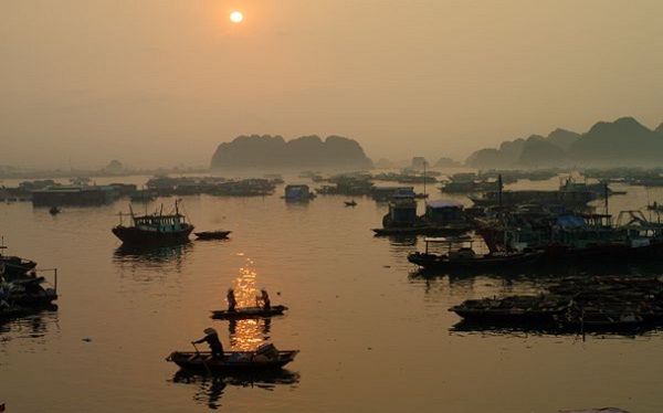 Wild Wonders of Cusine- Explore seafood market in Halong Bay