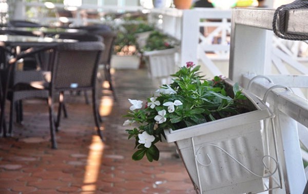 The hanging flower baskets in the Bai Chay coastal cafe