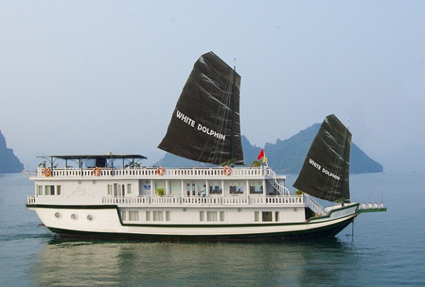 White Dolphin Cruise Halong bay