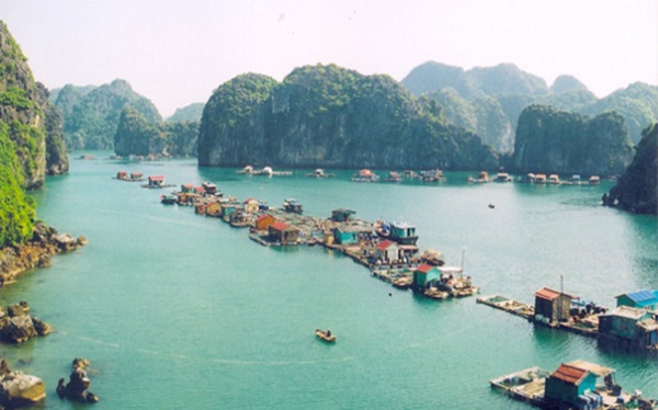 Cat Ba Island