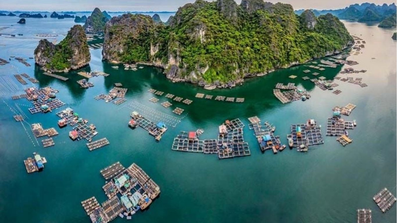 Fishing villages in Halong Bay