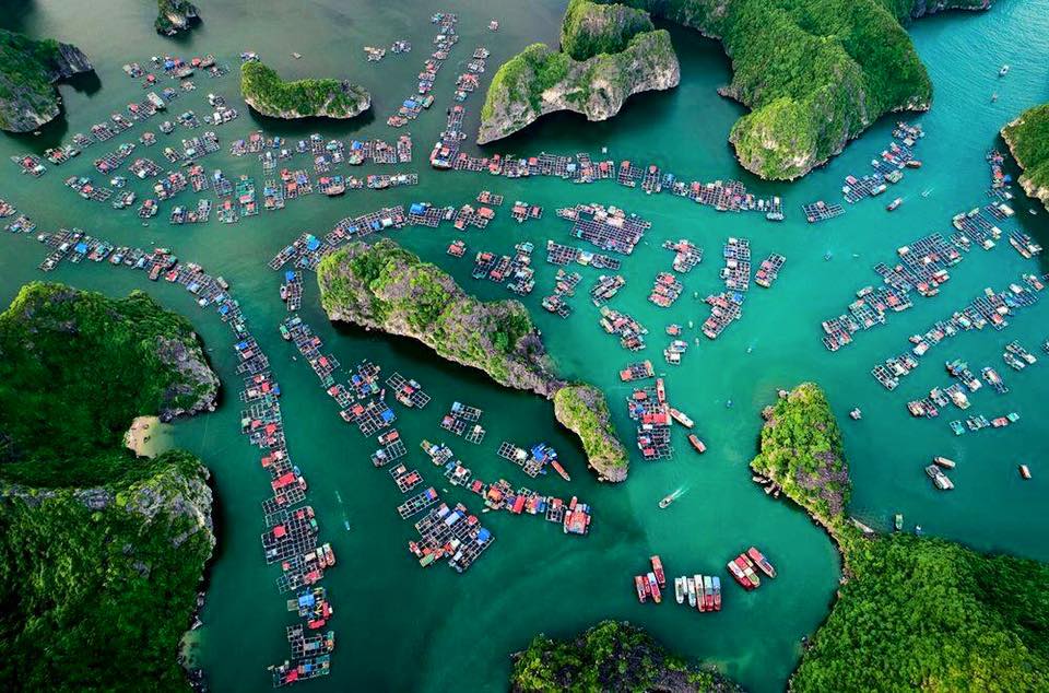 Floating village in Lan Ha Bay