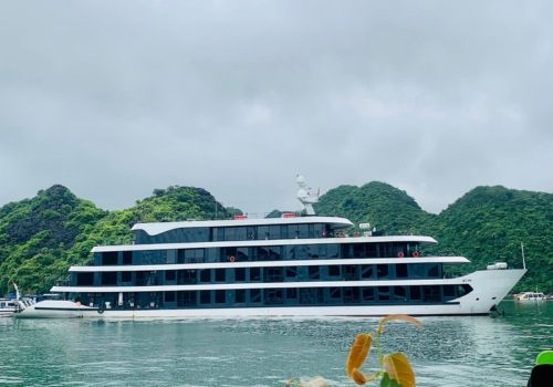 Venus Cruise