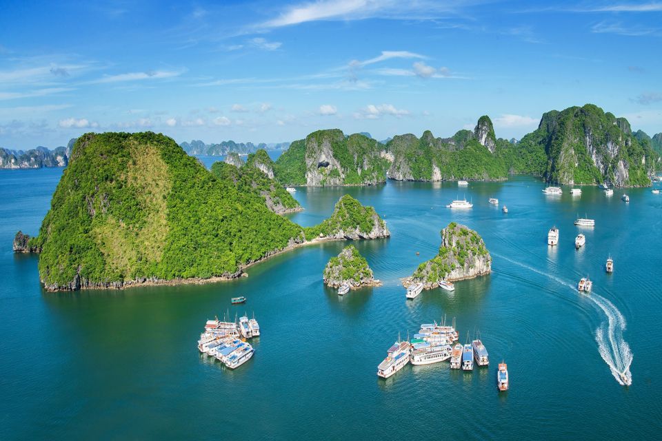 Lan Ha Bay - a destination of untouched beauty and thriving nature