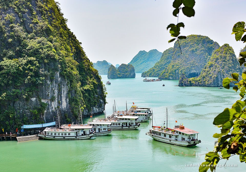 Halong Bay private cruise – How to choose a suitable one