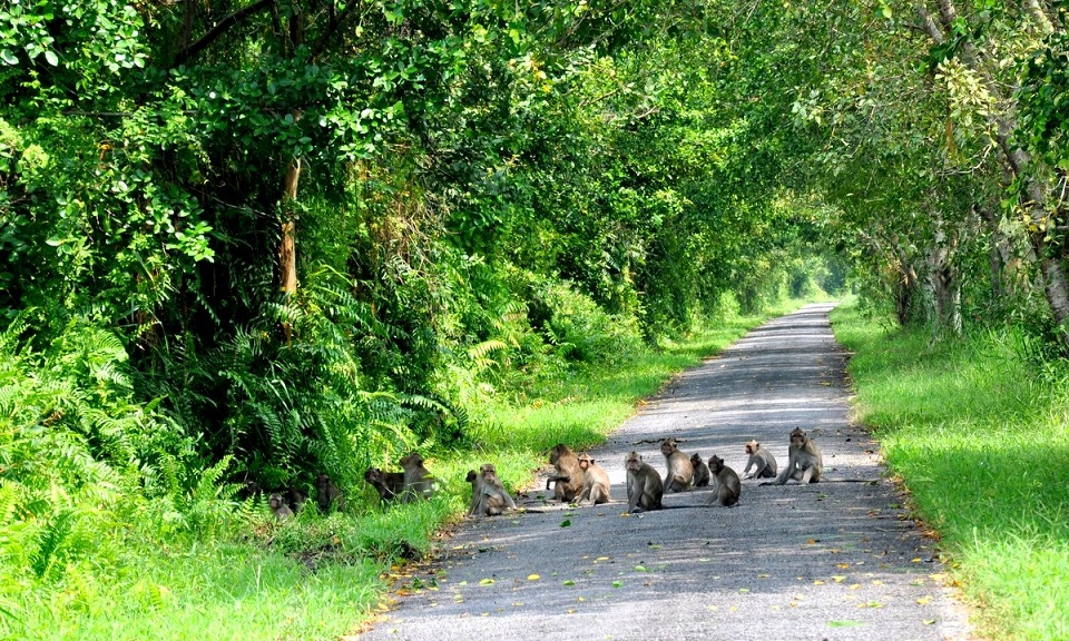 Cat Ba National park