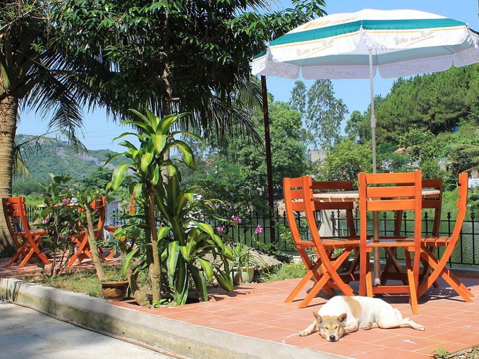 Little Cat Ba Homestay