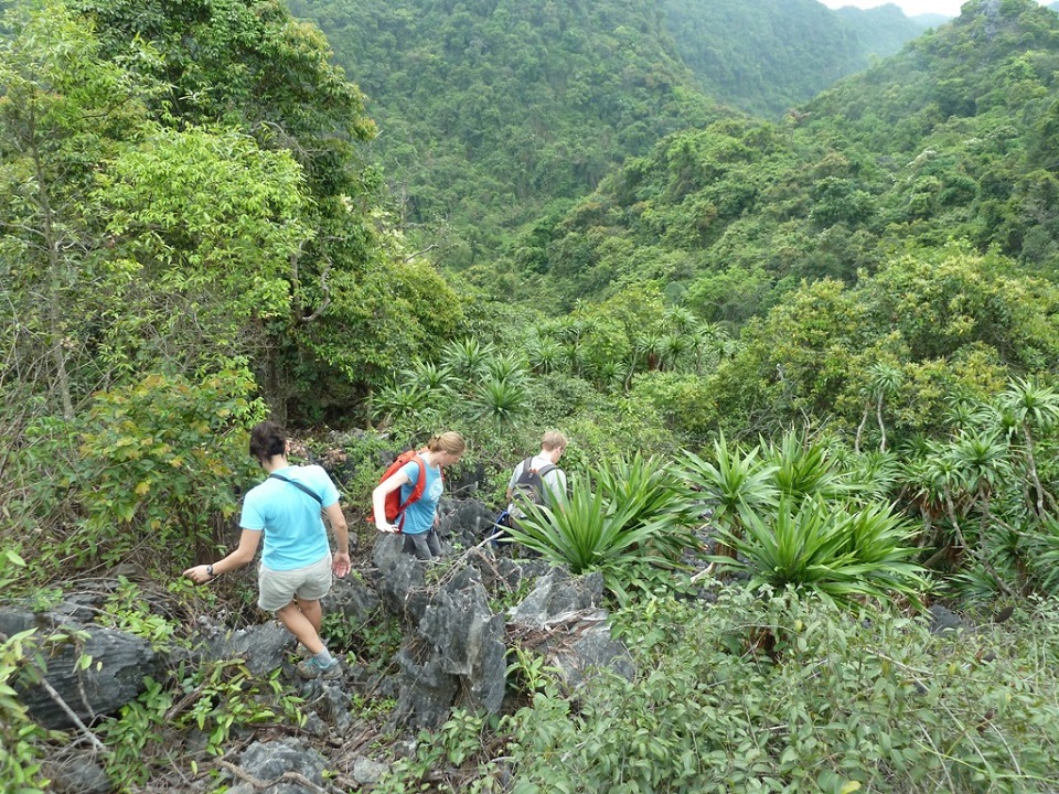 Cat Ba National Park