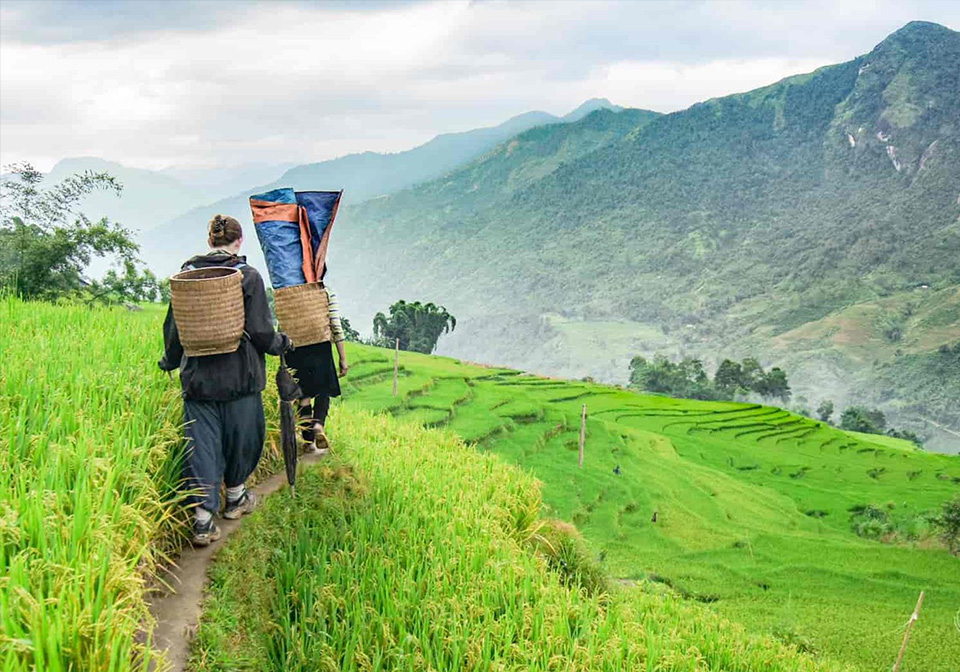 Exploring Sapa