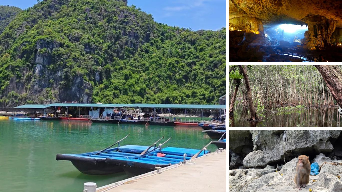 Trung Trang Cave interior, mangrove forest, macaque wildlife and Lan Ha Bay floating village in Cat Ba National Park Vietnam