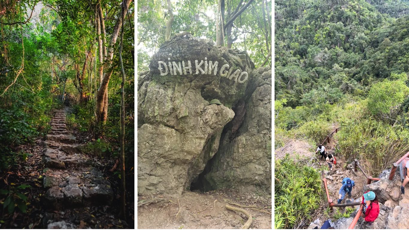 Kim Giao forest trail steps and trekking route in Cat Ba National Park Vietnam