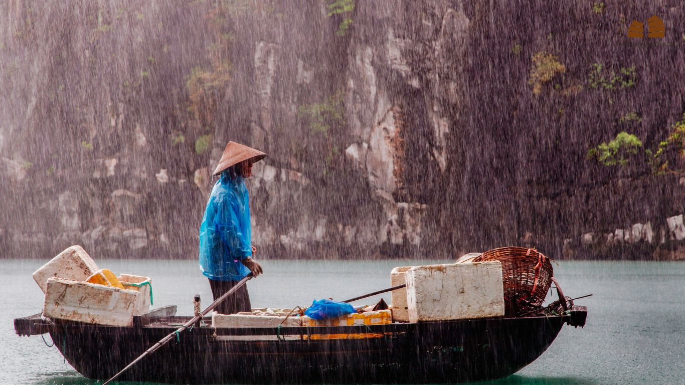 Charm of Halong Bay