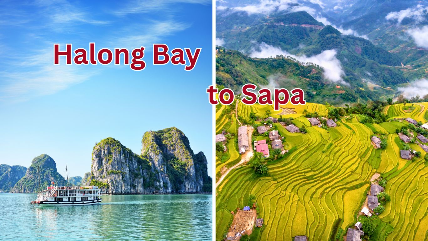 Halong Bay limestone islands and Sapa rice terraces showing scenic travel across northern Vietnam