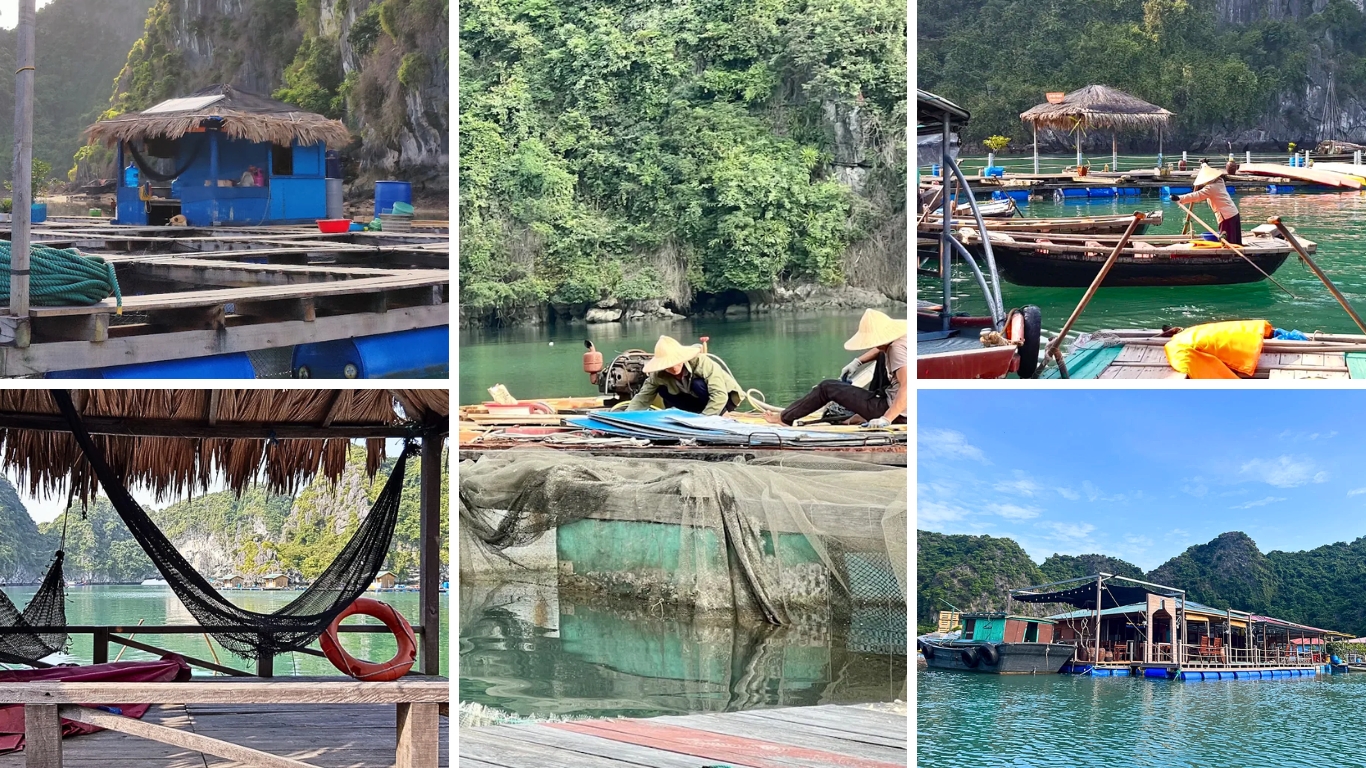 Collage of floating houses, fishing rafts, and daily life in Vung Vieng Fishing Village Halong Bay