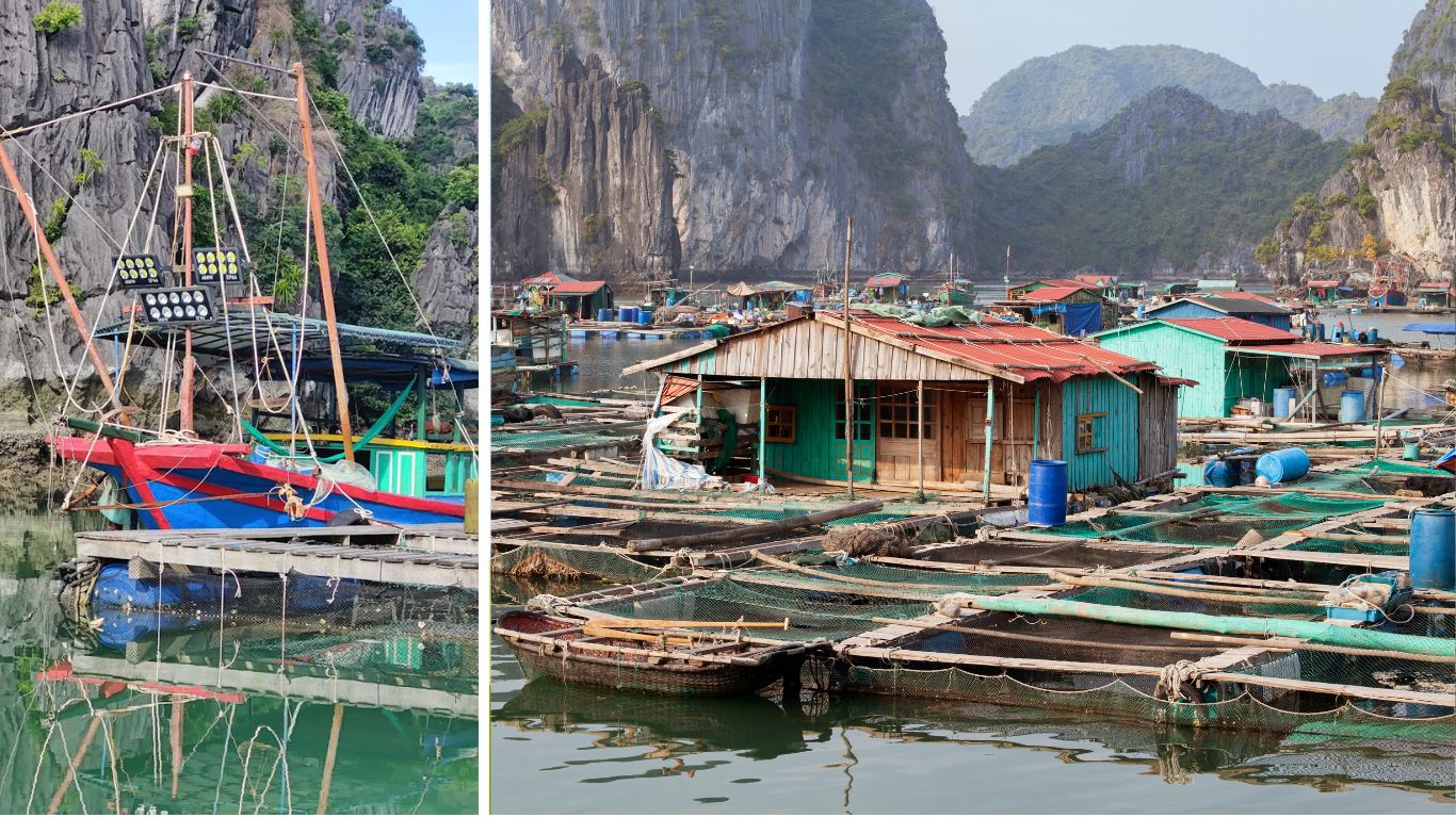 Floating fishing village in Halong Bay: a colorful squid fishing boat with bright lights docked beside a limestone cliff, and a wide view of wooden floating homes with fish farm nets stretching across calm water surrounded by karst mountains.