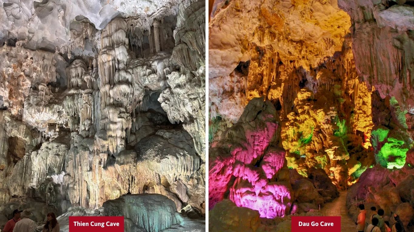 Interior of Thien Cung Cave showing towering white stalactite and stalagmite formations with visitors below, alongside Dau Go Cave interior lit in vibrant pink, green and orange lights illuminating layered limestone rock formations in Halong Bay.