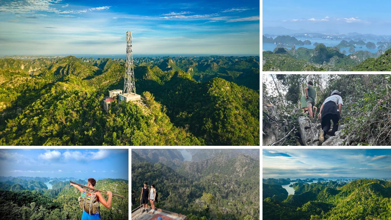 Hiker with trekking pole overlooking Cat Ba National Park