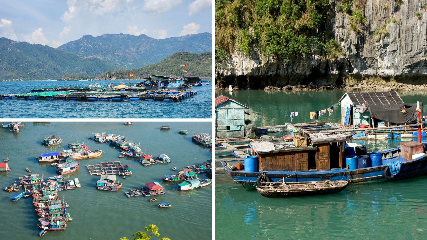Floating and fishing villages in Halong Bay