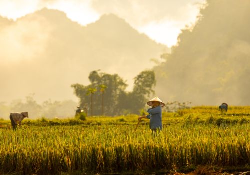 Explore Northern Vietnam 7 Days