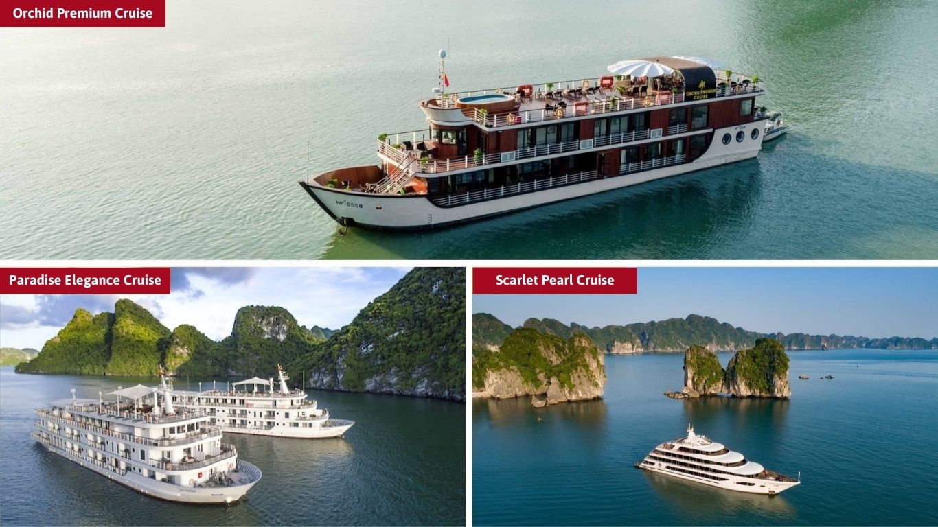 Halong bay Cruises