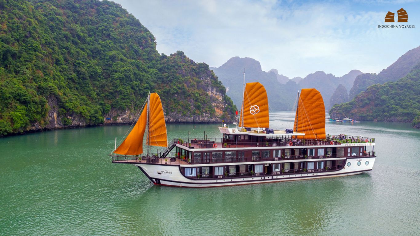 Peony Cruise